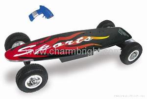 Electric skateboard