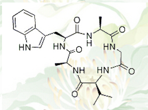 Segetalin B