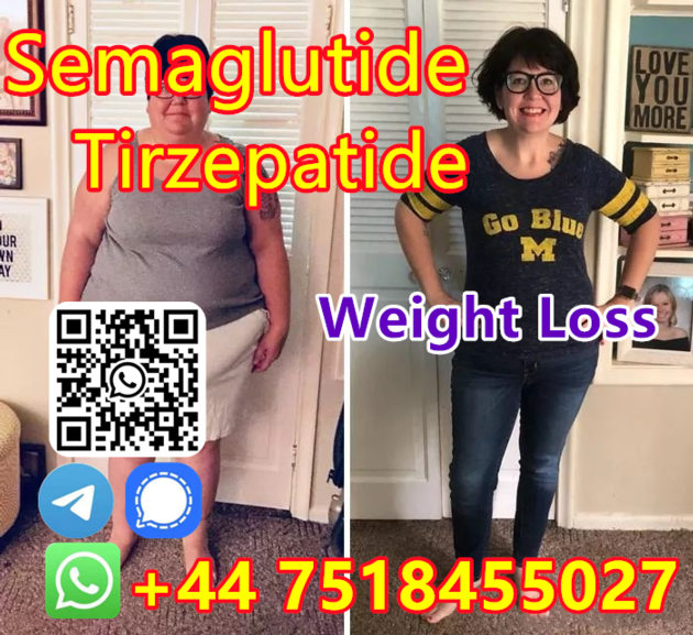 Semaglutide Starter Program GLP 1 Analogue