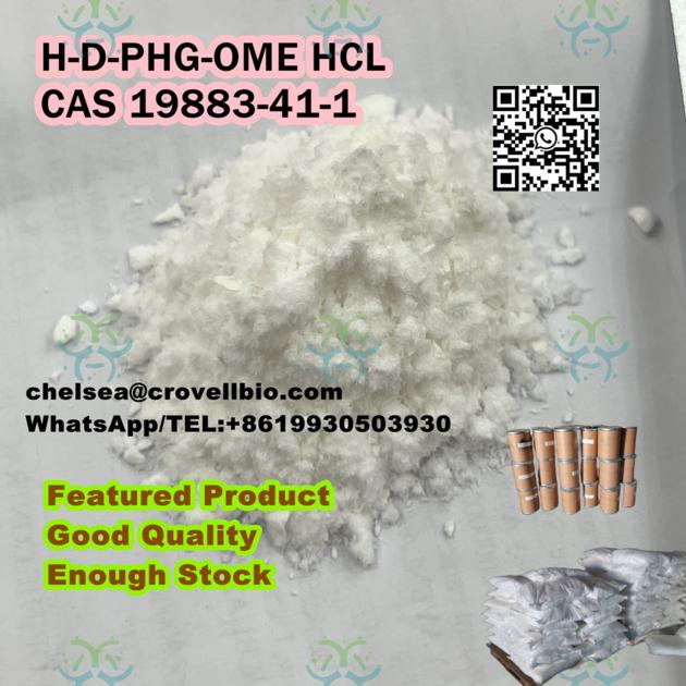 Chinese Manufacturer H-D-PHG-OME HCL price CAS 19883-41-1 supply. 