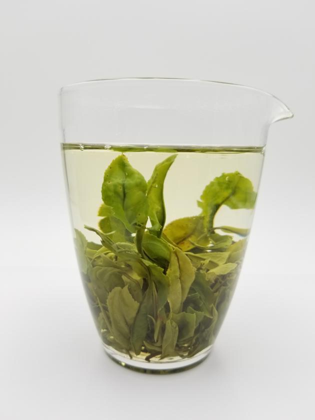 Chaoyang Organic Green Tea