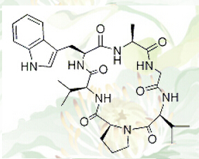 Segetalin A