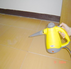 handy steam cleaner