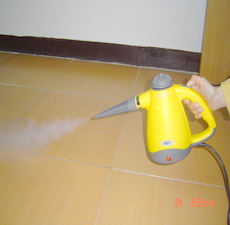 steam cleaner