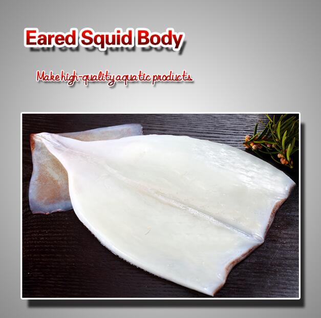 Eared Squid Body