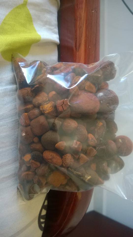 Ox Gallstones