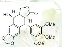 Picropodophyllotoxin