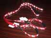 Pet Collar and Leash