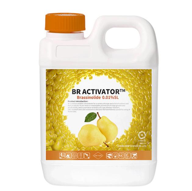 BR ACTIVATOR¬ Brassinolide 0.01%SL, 0.01%SP Plant Growth Regulator