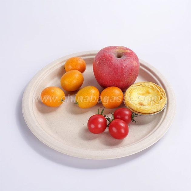 Composable Bagasse 10" Plate