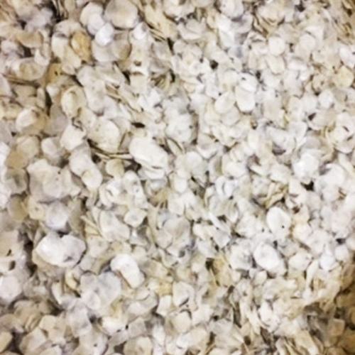 Dry Fish Scales