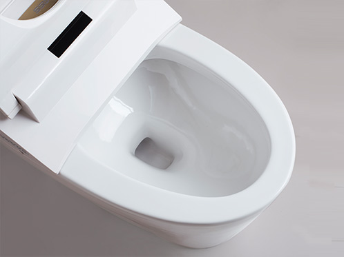 Smart Toilet