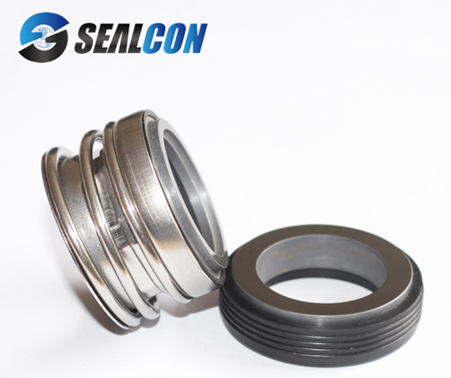 SiC Mechanical Seal