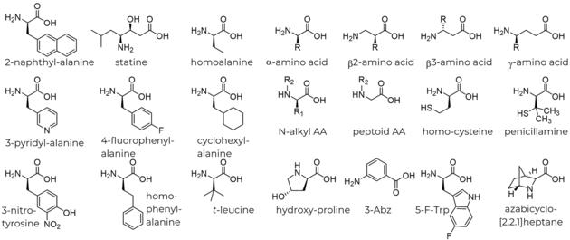 Unnatural Amino Acids