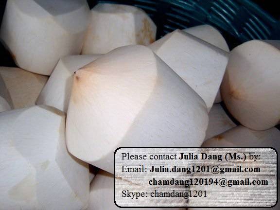 Vietnamese Fresh Young Coconut