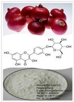 Allium Cepa Extract