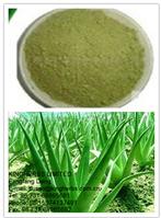 Aloe Vera Leaf Extract