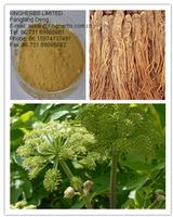 Angelica Extract