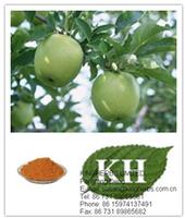 Apple Extract