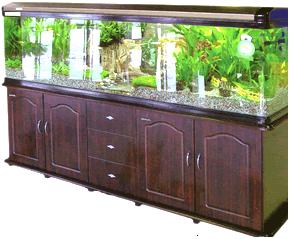 pet,Aquarium,fishbowl,bird cages,music birdcage
