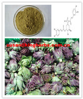 Artichoke Extract