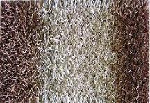 PP shaggy carpet