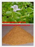 Bacopa Monnieri Extract