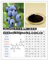 Bilberry Extract