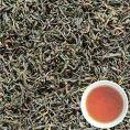 Black Tea Extract 