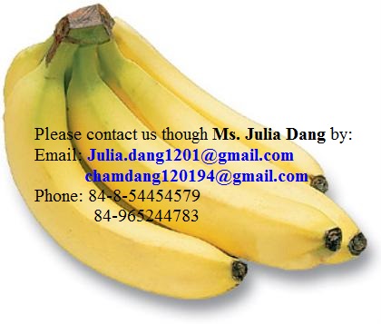 Vietnamese Cavendish Banana