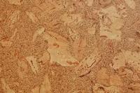 Cork Memo Board 