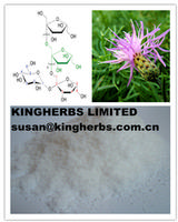 Chicory Extract