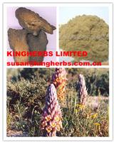 Desertliving Cistanche Extract