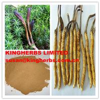 Cordyceps Extract