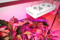 led grow lights