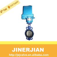 HBV05 PTFE Butterfly Valve