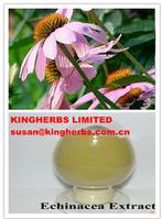 Echinacea Purpurea Extract