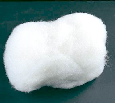 FIBER