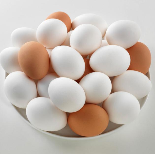 Fresh Table Chicken Eggs ( Brown and White)