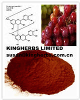 Grape Seed Extract
