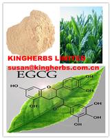 Green Tea Extract