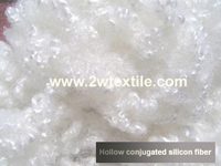 Hollow conjugated silicon Fiber