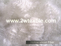 Hollow Silicon Fiber