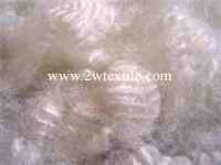 SELL POLYESTER FIBER,STAPLE FIBER