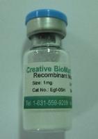 Mouse Anti-Human MARCH1 Monoclonal Antibody