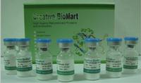 Mouse Anti-Human MARCH2 Monoclonal Antibody