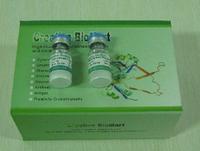 Mouse Anti-Human MARCH5 Monoclonal Antibody