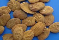 Peach Kernel Extract , Peach Kernel P.E.
