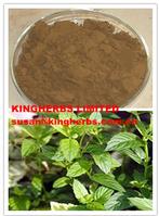 Peppermint Extract