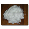 Polyester Fiber for Cotton Spinning